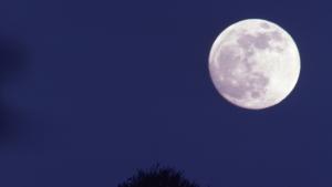 Могат ли да оцелеят шест жени в пътуване до Луната