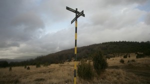 Откриха бактерия на Витоша която е поценна от злато