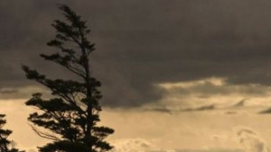 Предупреждават за бурен вятър в Сливен Ямбол и още три