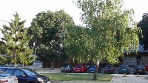 Мрачното време лъже