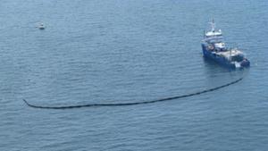 Глобяват виновните за разлива на нафта край Ценино