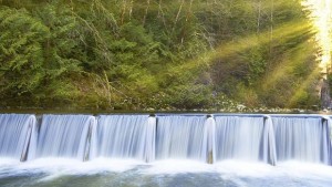 Повечето ВЕЦ не изпълняват изискванията за нормални условия за рибите