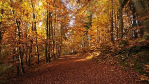 Циганското лято продължава и следващата седмица