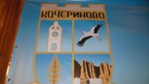 Жалби за гласуването на хора с увреждания в ОИК Кочериново