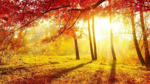 Времето на 3 ноември Слънчево и тихо