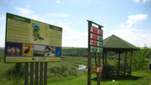 Скоро ще наблюдаваме пеликаните в Сребърна в реално време от