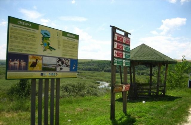 Скоро ще наблюдаваме пеликаните в Сребърна в реално време от монитори в Русе