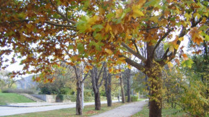 Остава топло за сезона