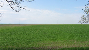 Изнесени приемни на НССЗ във врачанско