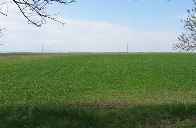 Изнесени приемни на НССЗ във врачанско