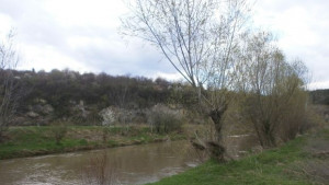 Откриха труп на мъж във водите на р Бели Лом