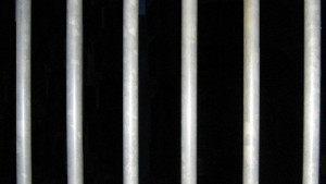 Девойка преспа в ареста заради обиди към полицаи