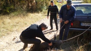 Спасиха глиганче от водна шахта