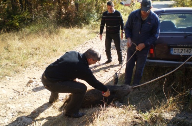 Спасиха глиганче от водна шахта