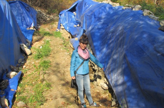 Направена е временна консервация на разкопките на Крепостта Ряховец