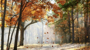 Прогноза за времето 7 ноември