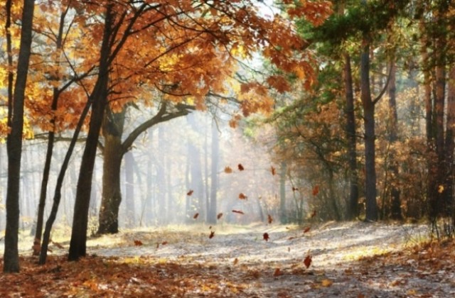 Прогноза за времето, 7 ноември