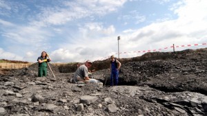 Откриха фосили от найголемия динозавър с оперени криле