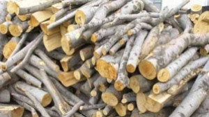 Заловиха бракониер с 15 куб дърва