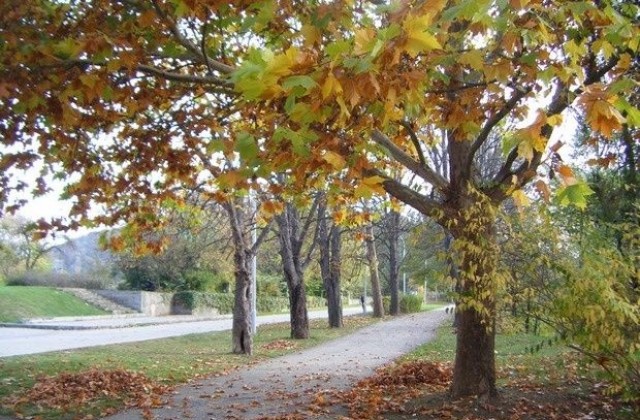 Топло, с променлива облачност