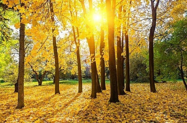 Чака ни слънчева и топла седмица