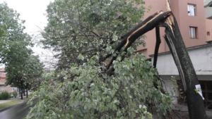 Предупреждават за бурен вятър почти в цялата страна