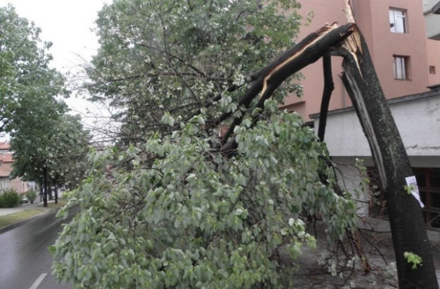 Предупреждават за бурен вятър почти в цялата страна