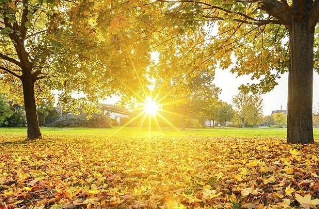Подарък от ноември: Хубавото есенно време продължава