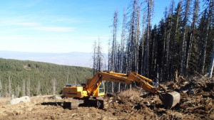 Протест и във Варна срещу унищожаването на природни паркове