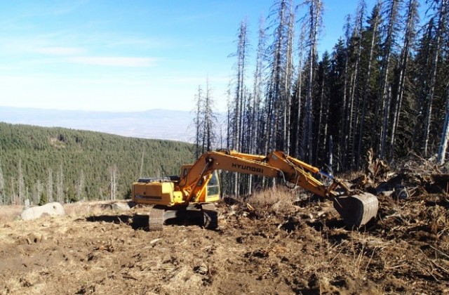Протест и във Варна срещу унищожаването на природни паркове