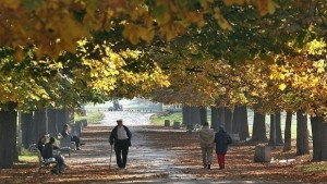 Времето на 11 ноември Слънчево и потопло от обичайното