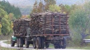 И жителите на Сливен протестират срещу изсичането на горите