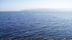 Глобиха две дружества за заустване на отпадъчни води в Черно