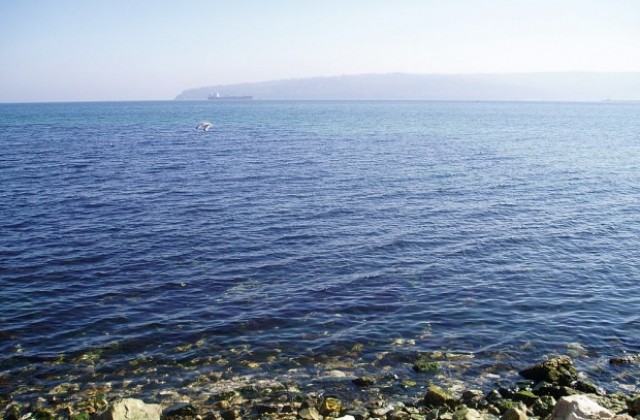 Глобиха две дружества за заустване на отпадъчни води в Черно море