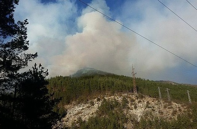 Локализиран е пожарът край Смолян, няма опасност за хората