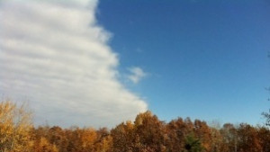 Времето на 15 ноември Леко застудява но за кратко