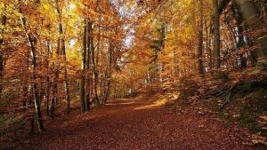 Леко застудява но за кратко