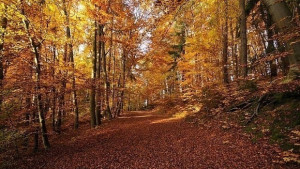 Времето на 16 ноември Облачно на места но без валежи