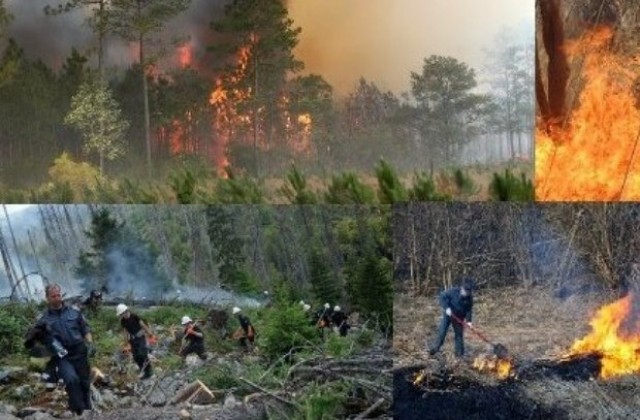 Пожар обхвана горска площ от около 500 декара в участъка на Тодорчетата