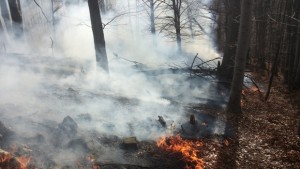 Големият горски пожар в района на Габрово е овладян