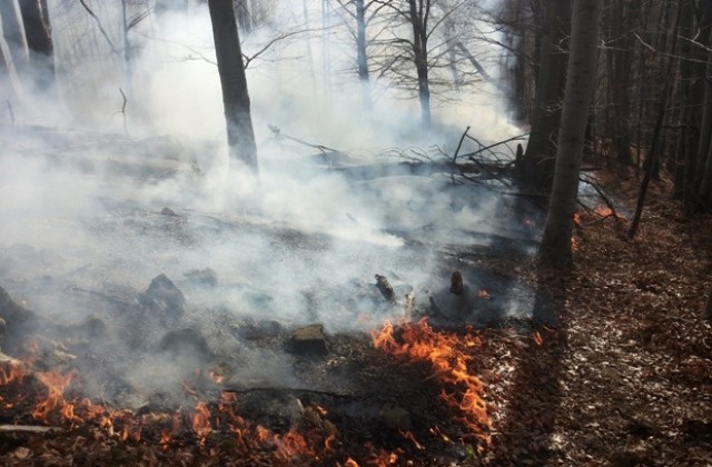 Големият горски пожар в района на Габрово е овладян