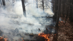 Потушен е пожарът в местността Тодорчетата