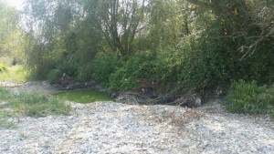 Установиха замърсяване на река Белица в град Костинброд