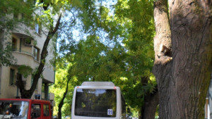 Автобус 37 с маршрут през Бетонния мост в четвъртък и