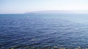 Порт ВарнаЗапад затворен заради мъгла