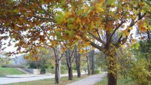 Времето на 19 ноември Слънчево и топло