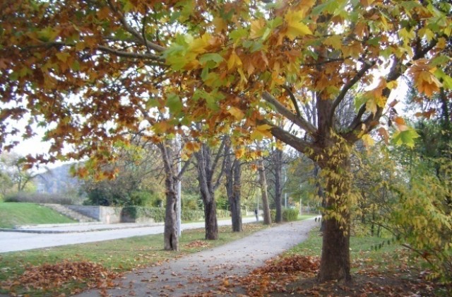 Слънчево и топло време ни очаква днес