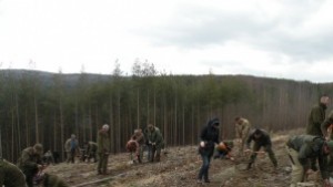 Лесовъдите от Югозападна България излизат на протест в Кюстендил