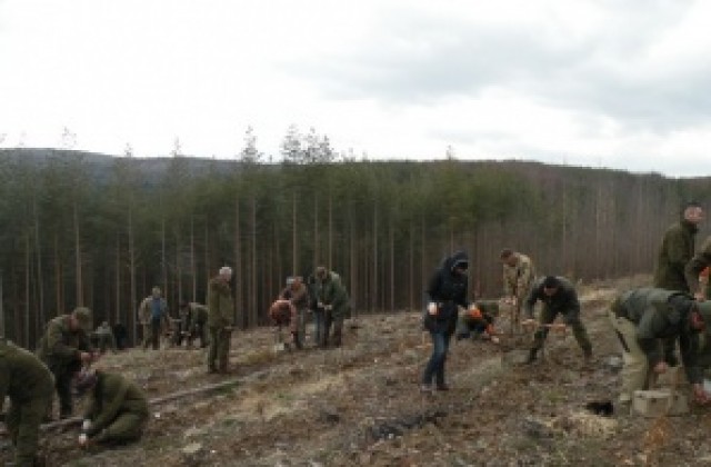 Лесовъдите от Югозападна България излизат на протест в Кюстендил