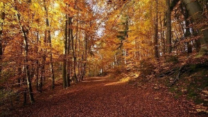 Времето на 20 ноември Отново слънчево и топло